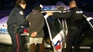 A number of people are in custody Thursday following multiple arrests across the Greater Toronto Area overnight.