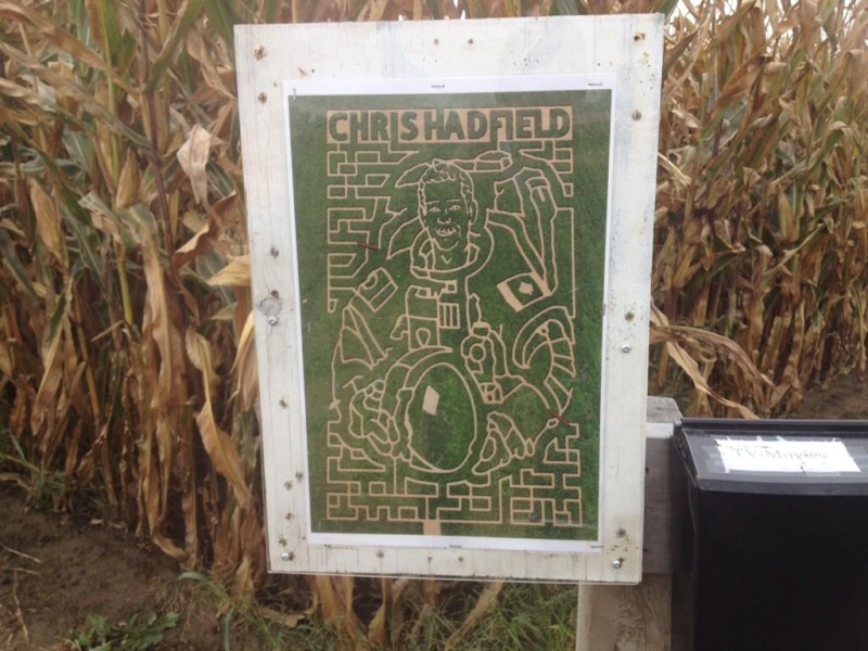 A photo of the Chris Hadfield corn maze in Thamesville, Ont. can be seen on Wednesday, Oct. 1, 2014. (Chris Campbell/ CTV Windsor)