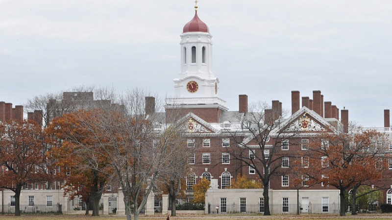 Harvard cheating ring discovered