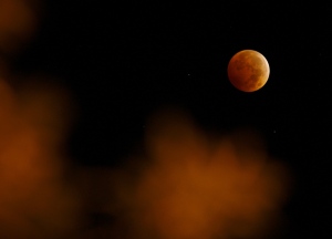 95_Lunar_Eclipse_October.jpg