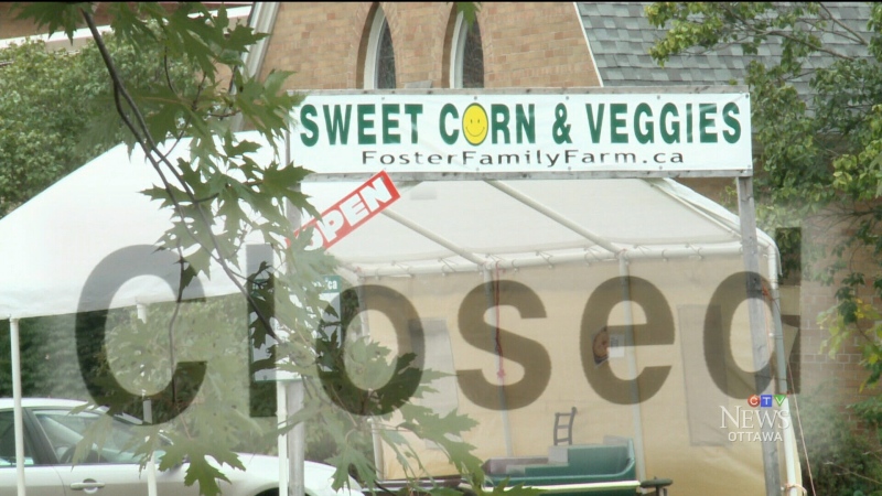 CTV Ottawa: Bylaw shuts down vegetable stand