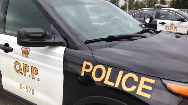 OPP are investigating a crash between a motorcycle and a van on Highway 417 that caused a man to lose part of his hand (FILE) 