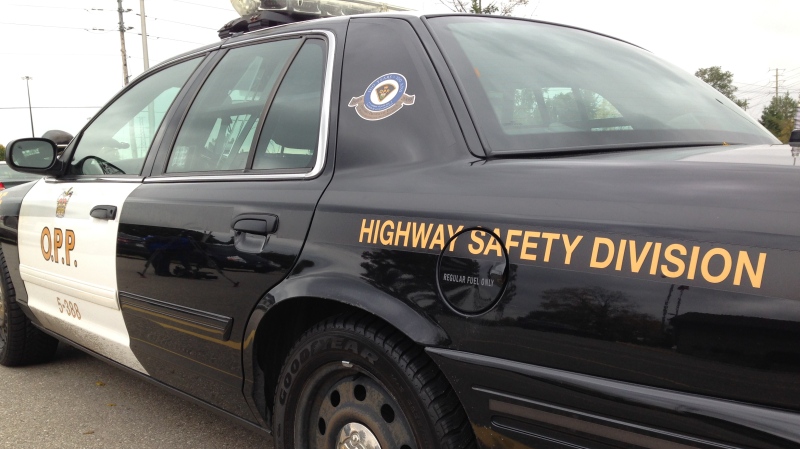An OPP highway safety division cruiser shown on October 17, 2014.