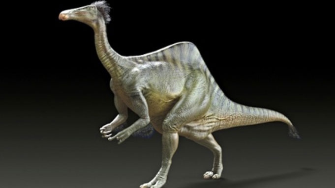 Mysterious dinosaur described as goofy