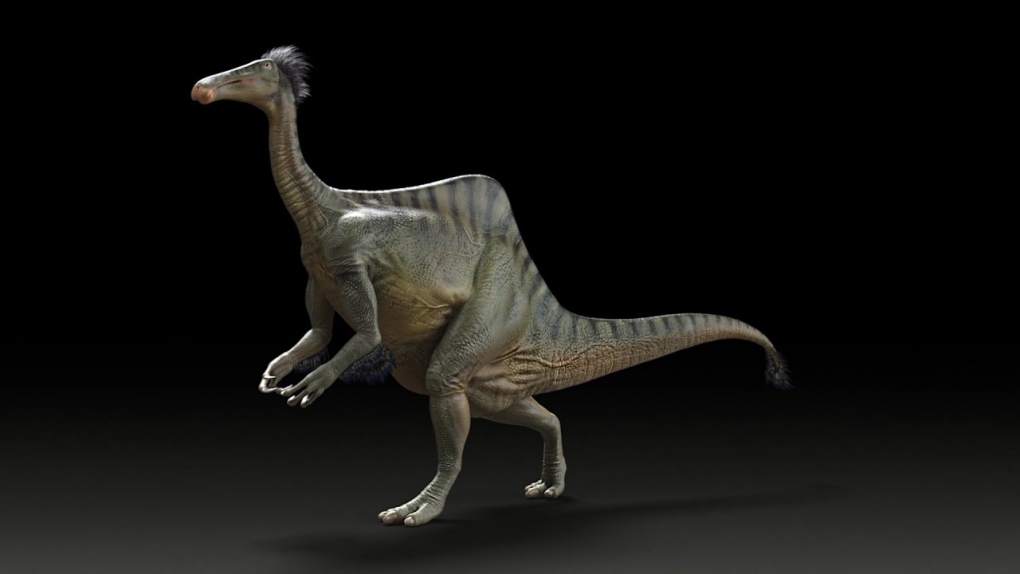 deinocheirus dinosaur 