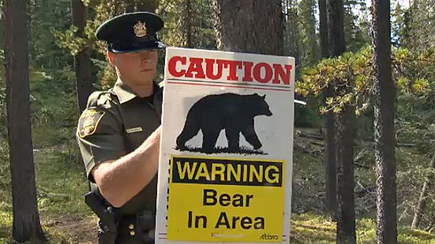 Bear warning, grizzly, grizzly bear, Banff bear wa