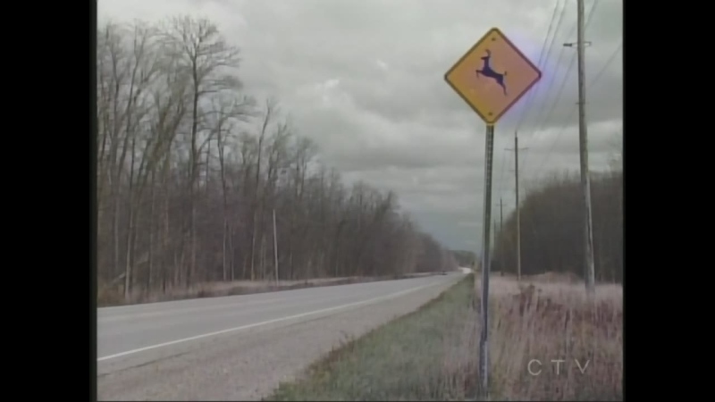 A sign warning drivers to watch for deer crossing ahead is seen in Bruce County, Ont. on Wednesday, Oct. 29, 2014. (Scott Miller / CTV London)