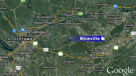 riceville fatal, cow crash