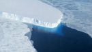 This undated handout photo provided by NASA shows the Thwaites Glacier in West Antarctic. (AP Photo / NASA)
