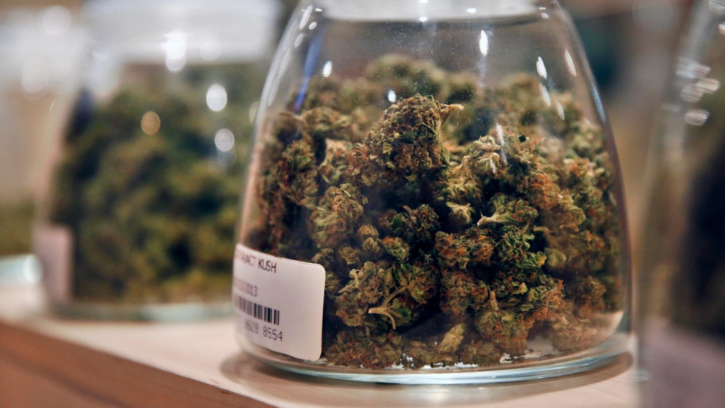 Legalized marijuana: what states can expect