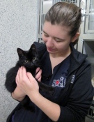  Lucky, a two-month-old kitten, was brought back to life after being left out to freeze overnight Sunday, Nov. 17, 2014.