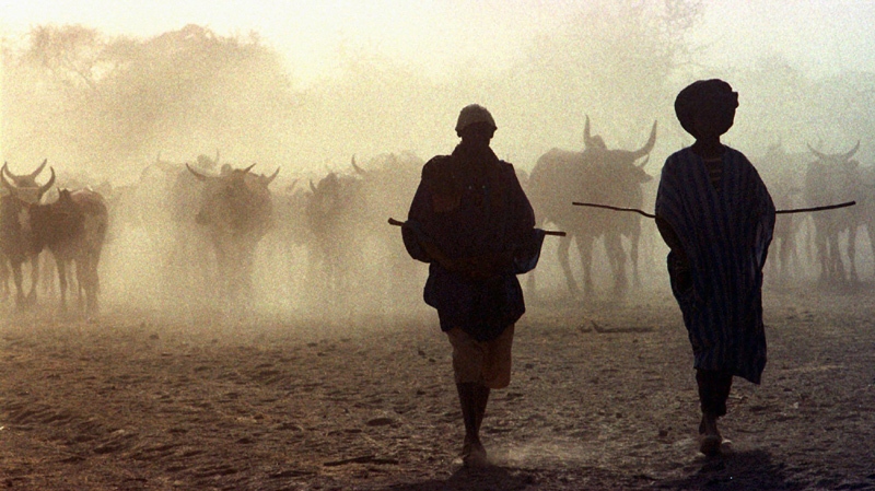 Tuareg clansmen are silhouetted as they herd cattle in the land between Koygma and Timbuktu, in northern Mali in this March 1997 file photo.