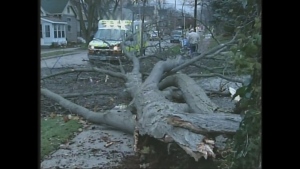 Strong winds ripped through southwestern Ontario, damaging property and downing trees. (CTV London)