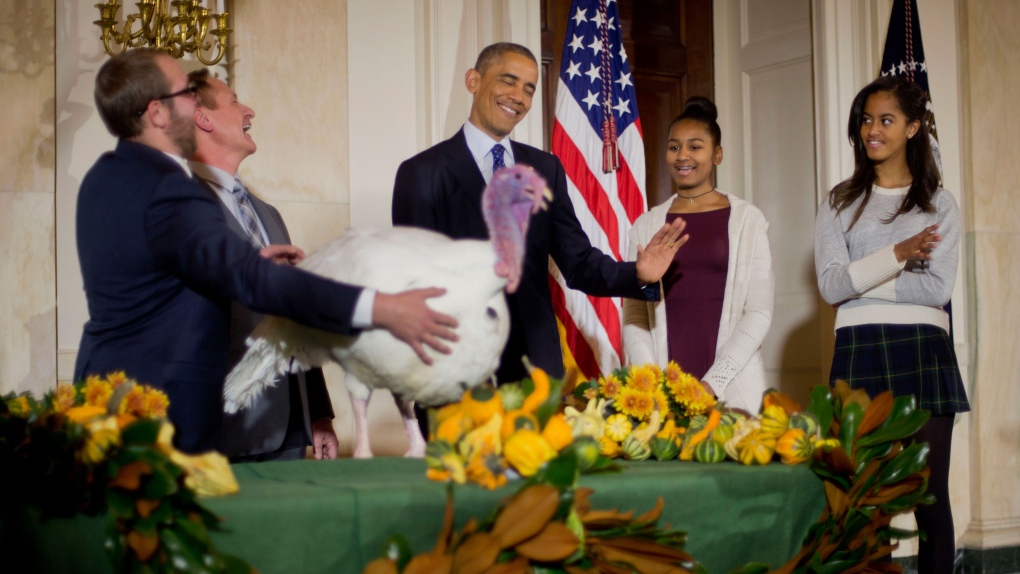 Obama pardons turkey