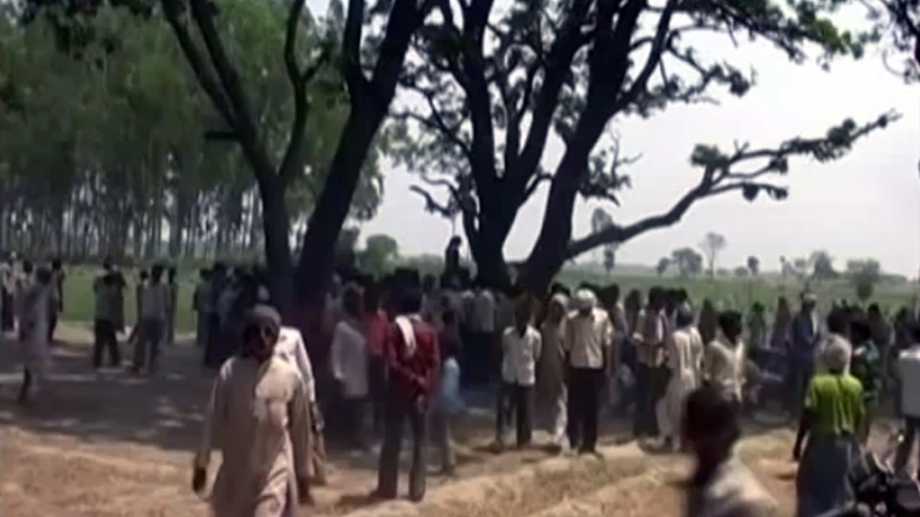 Tree where teens were found in Katra Uttar Pradesh