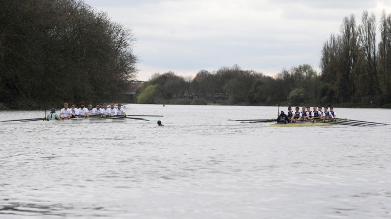 The boat race is halted as a swimmer, head seen centre, interrupts the 158th Boat Race on the river Thames, London, Saturday April 7, 2012. 