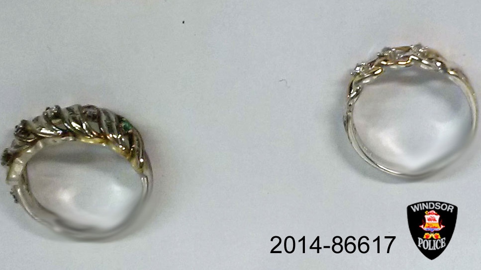 Rings found on Windsor roof