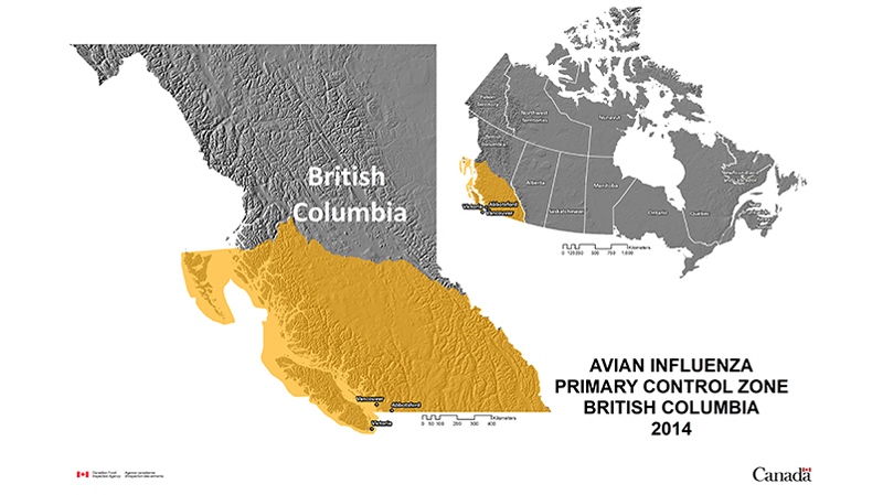 Avian flu control zone in B.C. 