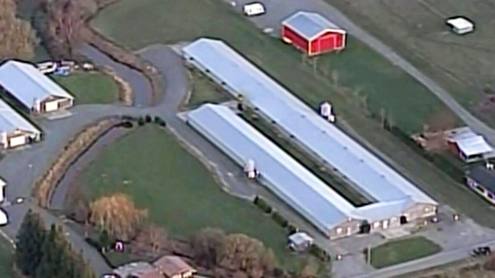 Farms under quarantine after avian flu outbreak