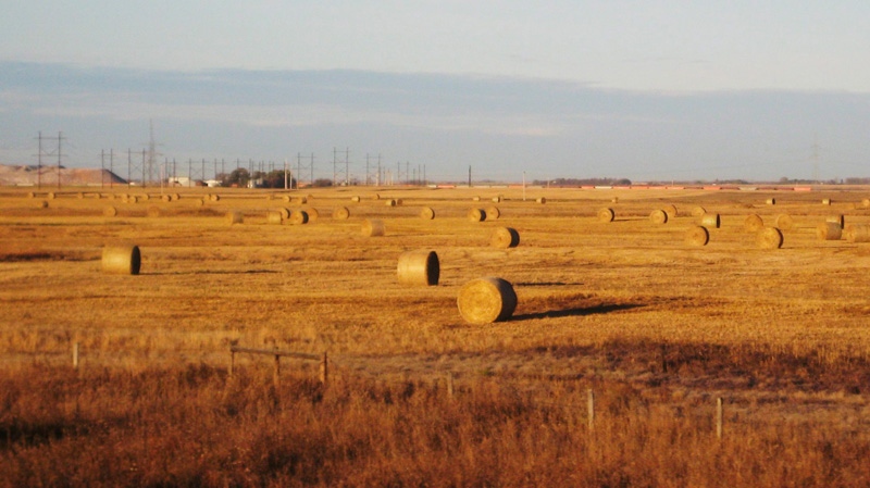 Farm groups in Saskatchewan and Alberta are working to send hay to drought-stricken parts of Ontario