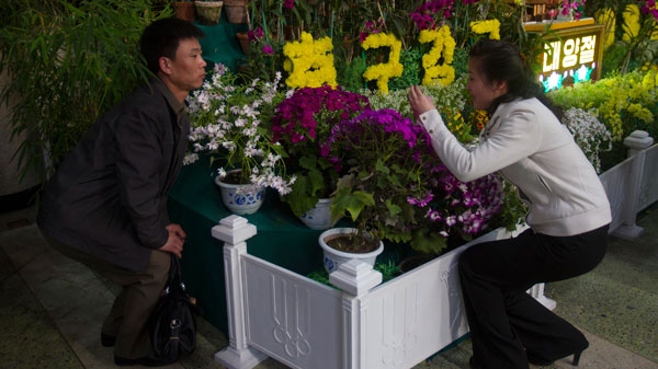 A man is photographed by a family member in front of a display of "Kimilsungia" flowers in Pyongyang, North Korea, Tuesday, April 17, 2012. (AP / David Guttenfelder)