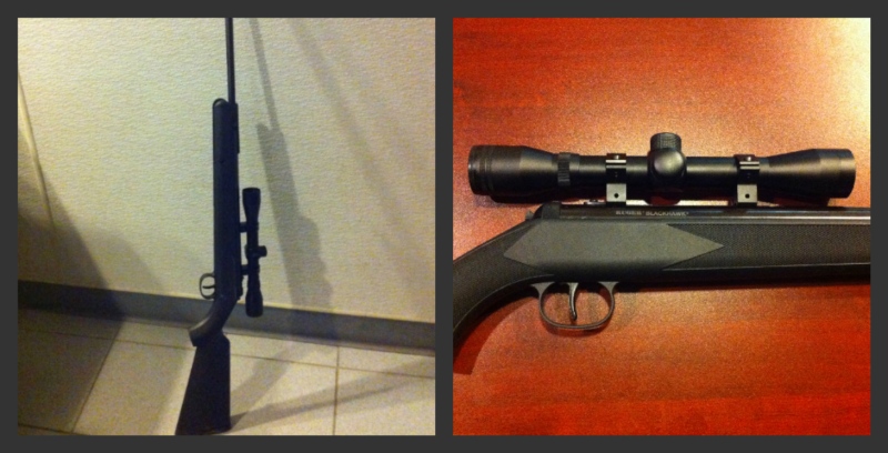 Chatham-Kent police released this photo of a high-powered Ruger Blackhawk 117 ca. pellet gun. 