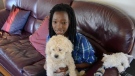 This four-year-old Shih Tzu poodle named Jackson and owner Idah Clementino, 14, were reunited on Wednesday, April 18, 2012. (Andrew Collins / CTV News)