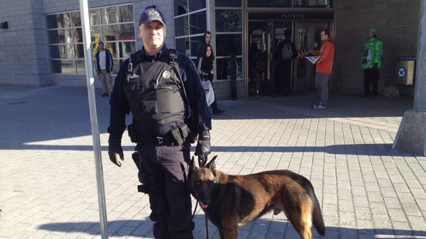 From the Montreal police K9 unit, Shrek helped find a smoke bomb thrown in the metro tunnels. (Jean-Luc Boulch/CTV News)
