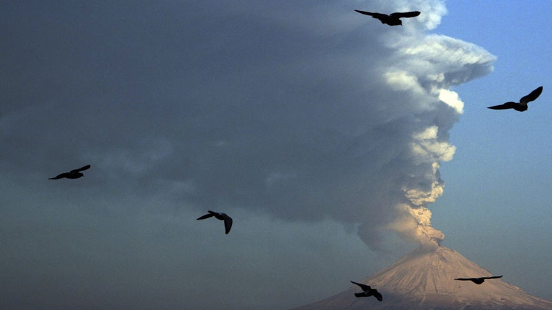 Birds fly in the foreground as a plume of ash and steam rise from Popocatepetl volcano as seen from San Andres Cholula, Mexico, Wednesday April 18, 2012. Mexico's Popocatepetl volcano is continuing to spout gases and hot rock fragments and it is dusting towns on its flanks with volcanic ash