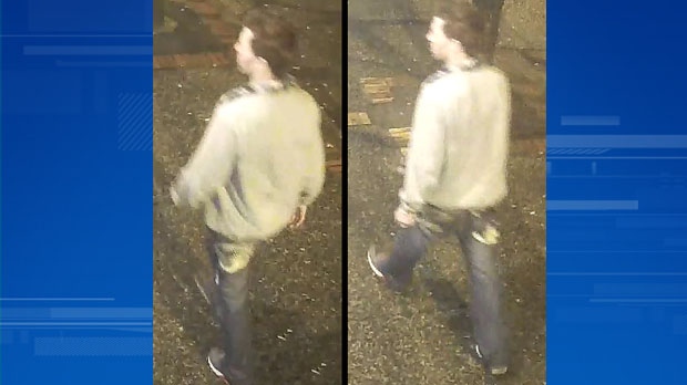 Surveillance camera photos of the alleged attacker