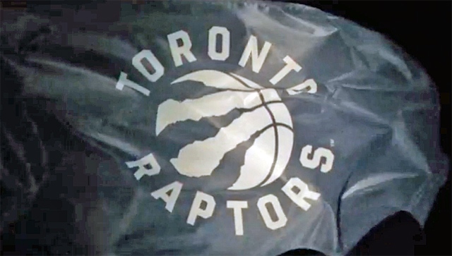 Raptors' logo