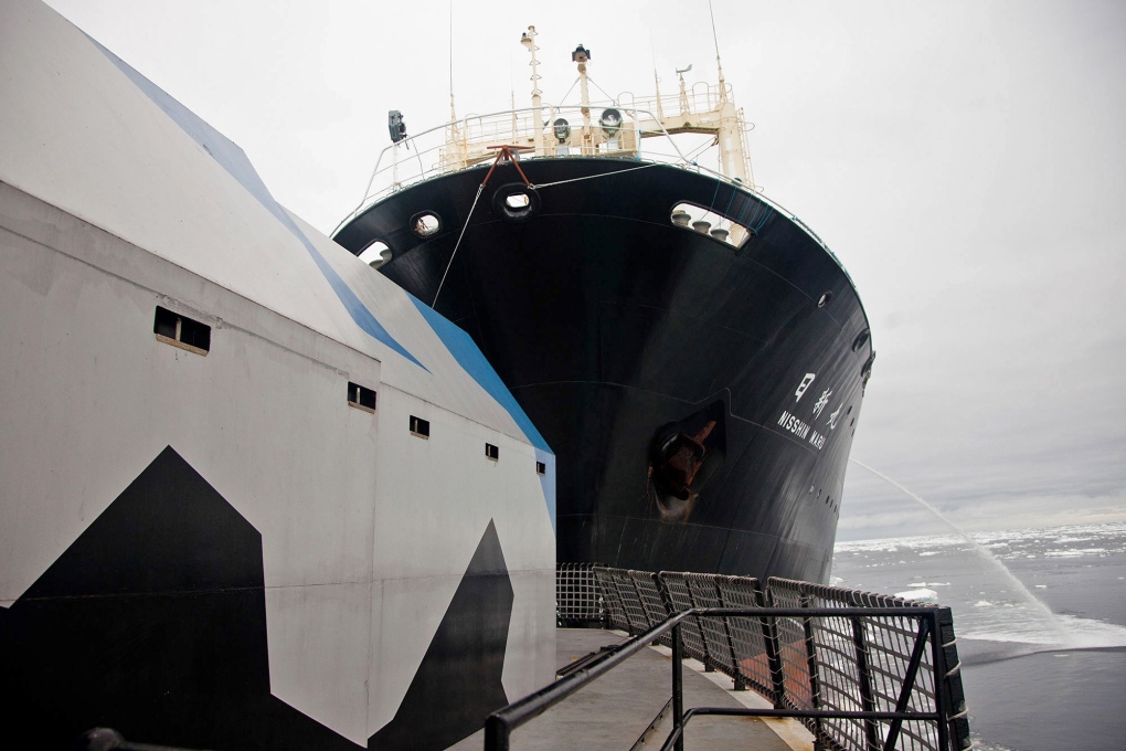 Sea Shepherd Australia and Nisshin Maru