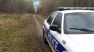 Ottawa police cruiser helps to secure the area near Fairlea Woods where investigators search for an additional evidence connected to an ongoing case April 20, 2012.