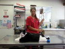 Marco the cat is believed to be only the second cat in the world to receive a prosthetic foot. He is seen here at Dillard Animal Hospital in London, Ont.