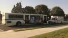 A Grand River Transit bus sits at the scene of a pedestrian collision at a roundabout in Kitchener, Ont. on Friday, Oct. 7, 2011.