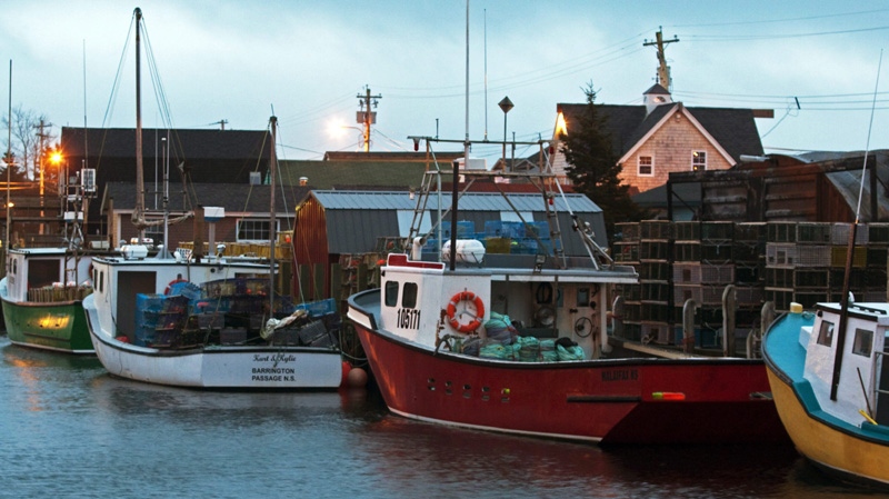 Fishing boats remain at berth in Eastern Passage, N.S. on Monday, Nov. 28, 2011. The lucrative lobster fishing season in southwestern Nova Scotia has been delayed by one day due to high winds.