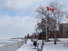 A cold, snowy day at the riverfront in Windsor, Ont., on Jan.7, 2015. (Michelle Maluske / CTV Windsor)