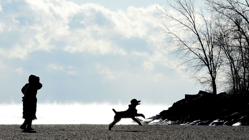 A woman throws a ball to her dog as steam rises off Lake Ontario in extreme cold weather in Toronto on Wednesday, Jan. 7, 2015. (Frank Gunn / THE CANADIAN PRESS)