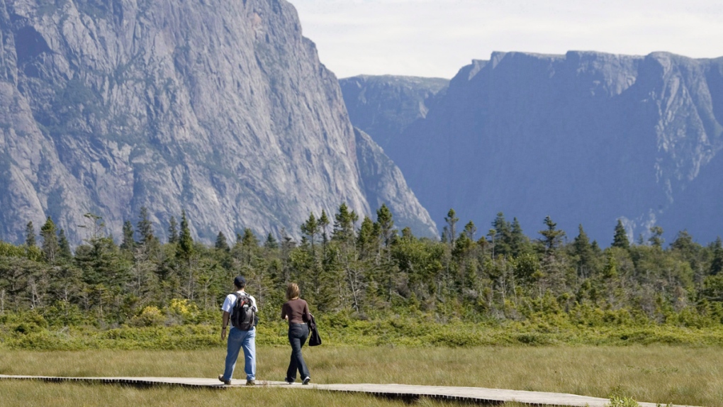 Artists call for protections for Gros Morne park
