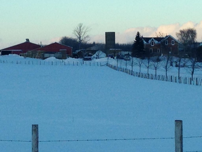 A male has died following a farm accident on Jamestown Rd., south of Bluevale, Ont., Monday, Jan. 12, 2015. (Scott Miller / CTV London)