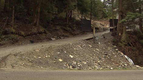 Metro Vancouver officials say the bottom portion of this Belcarra, B.C., driveway is on park land. (CTV)