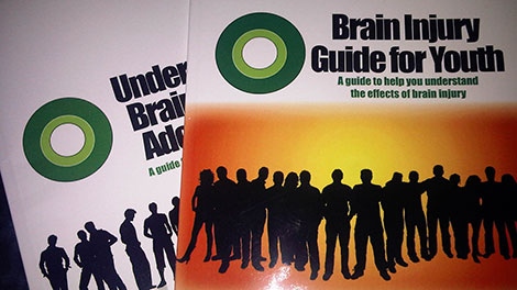 brain injury guide