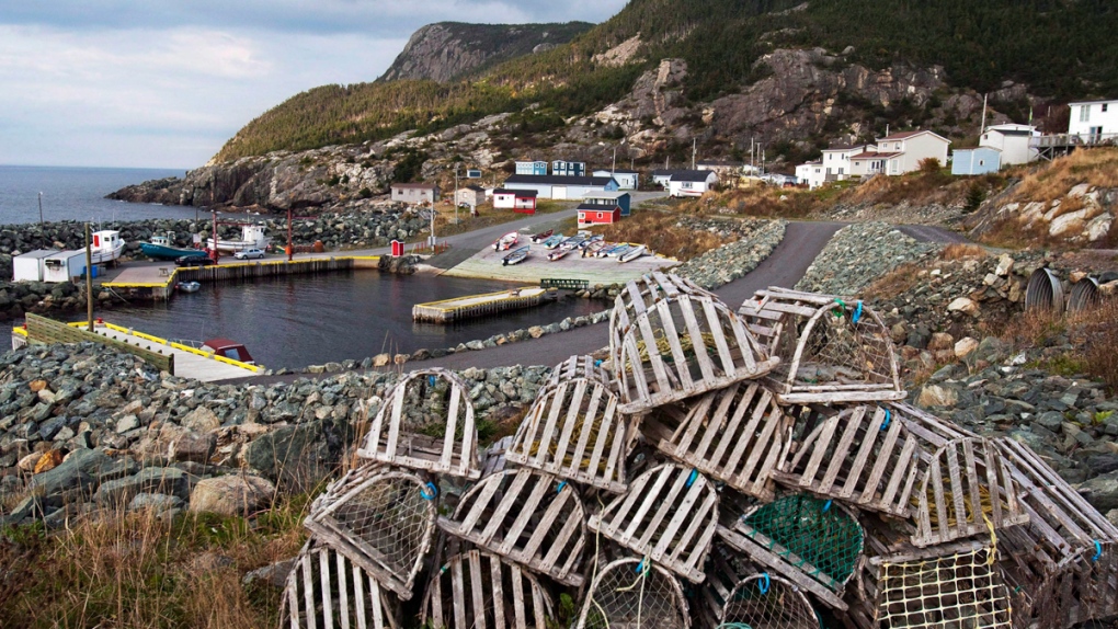 Bauline, Newfoundland and Labrador