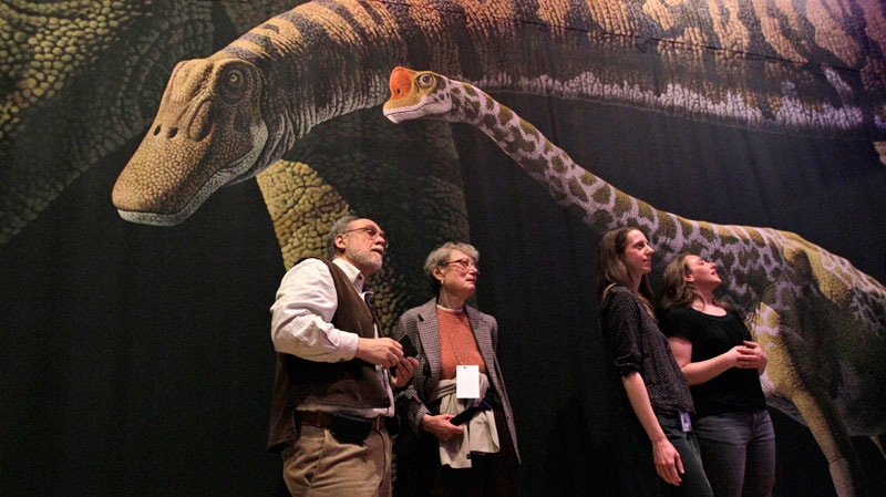 In this April 13, 2011 file photo, visitors to the American Museum of Natural History in New York inspect a detailed model of a 60-foot-long Mamenchisaurus on display during the media preview of 'The World's Largest Dinosaurs' exhibit. (AP / Mary Altaffer)