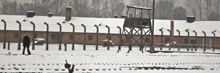 Auschwitz liberation anniversary