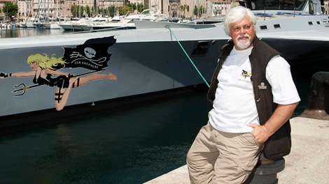 Canadian animal rights and environnemental activist, who founded and is President of the Sea Shepherd Conservation Society, Paul Watson, poses next to his trimaran renamed in honor of French former actress and animal rights activist, Brigitte Bardot, in the harbor of La Ciotat, southern France, Wednesday, May 25, 2011. (AP / Patrick Gherdoussi)