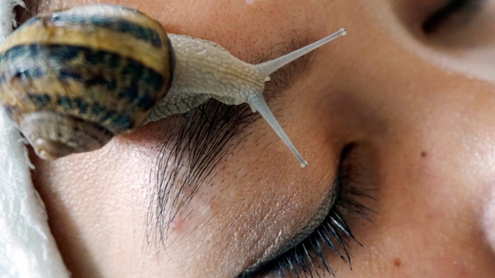A snail facial in Chiang Mai, Thailand