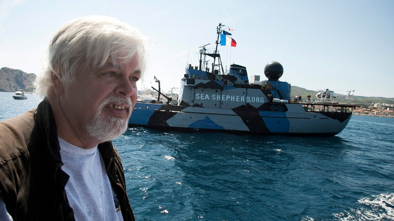Paul Watson, answers questions while sailing aboard a trimaran renamed in honor of French former actress and animal rights activist, Brigitte Bardot, off the harbor of La Ciotat, southern France, Wednesday, May 25, 2011. (AP / Patrick Gherdoussi)