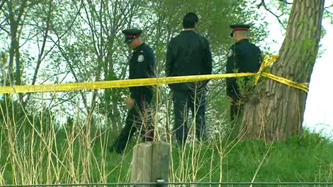 Toronto police investigate after a man fell off the Scarborough Bluffs, Sunday, May 13, 2012. 