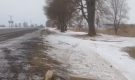 The scene of a fatal single-vehicle crash on Highway 40 near Chatham, Ont., Jan.29, 2015. (Dan Appleby / CTV Windsor)
